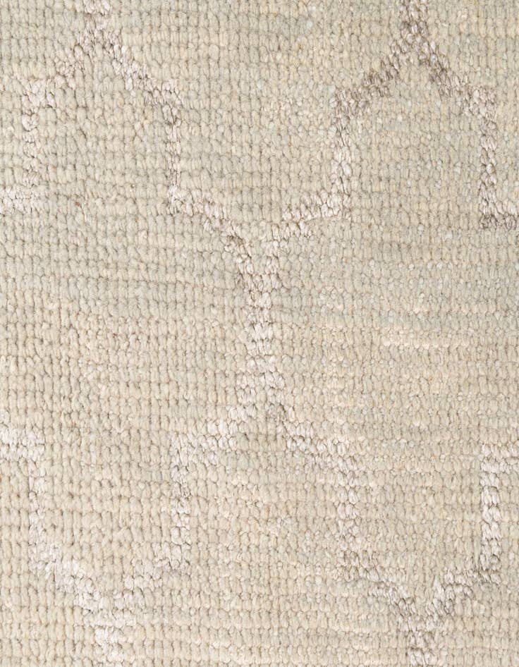 Detail image of  4' x 6'  Hand Knotted Darya Rug