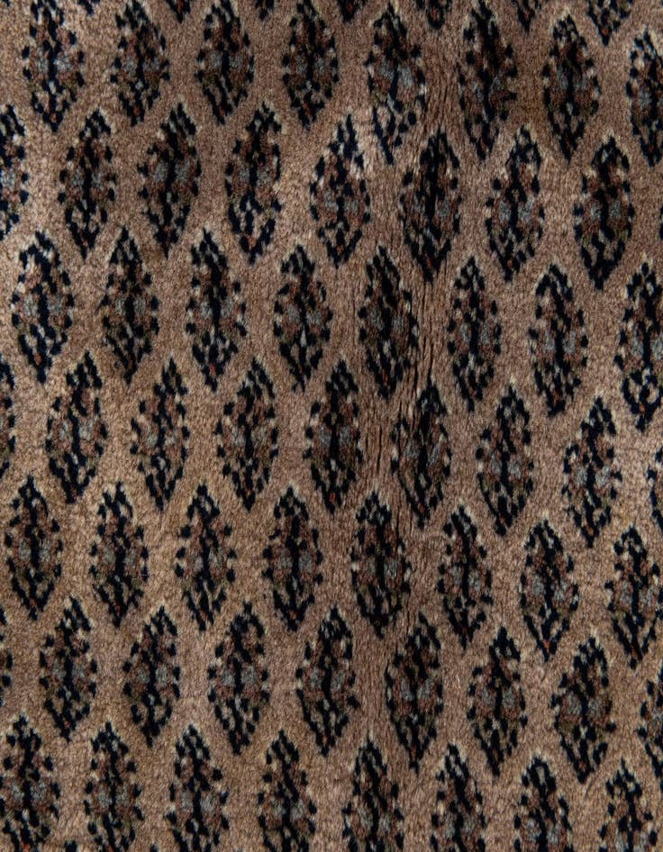 Detail image of  5' 9 x 7' 8  Hand Knotted Mir Wool Rug