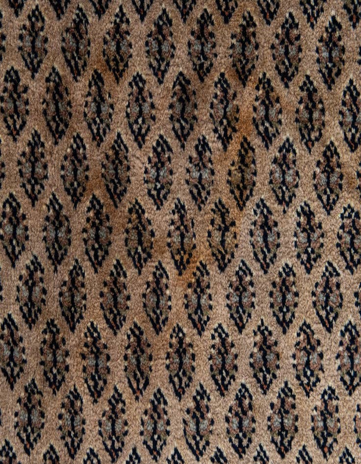 Detail image of  5' 9 x 7' 8  Hand Knotted Mir Wool Rug
