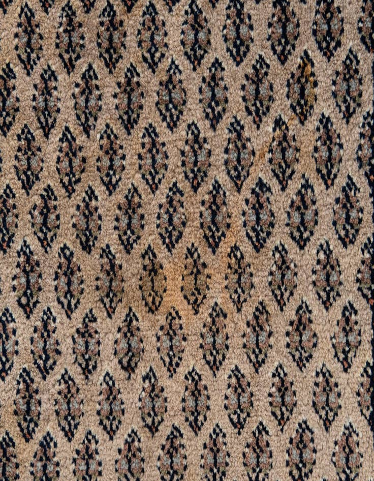 Detail image of  5' 9 x 7' 8  Hand Knotted Mir Wool Rug