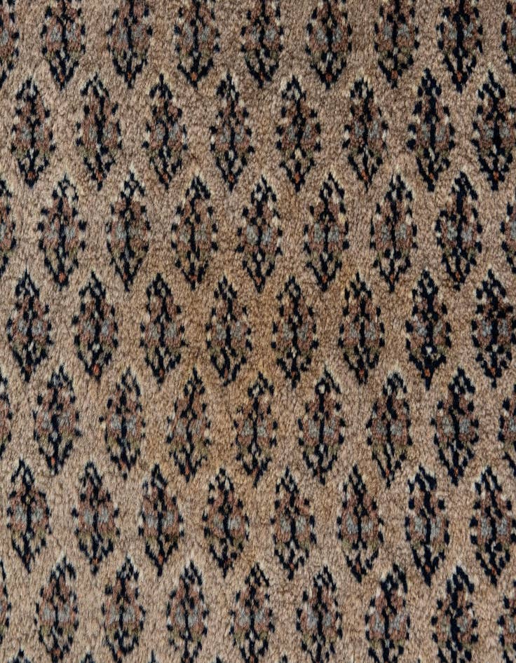 Detail image of  5' 9 x 7' 8  Hand Knotted Mir Wool Rug