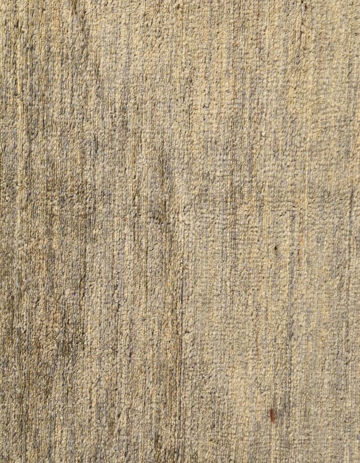 Detail image of  3' 1 x 5' 2  Hand Knotted Modern Ziegler Rug