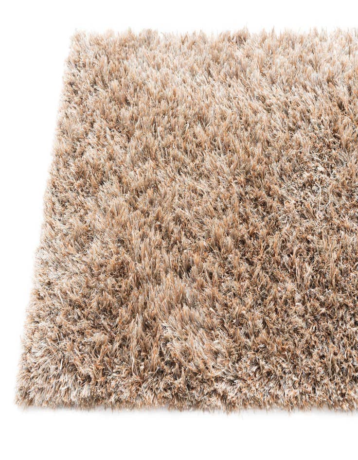 Detail image of 3' 2 x 5' 6 Two-Tone Shag Rug