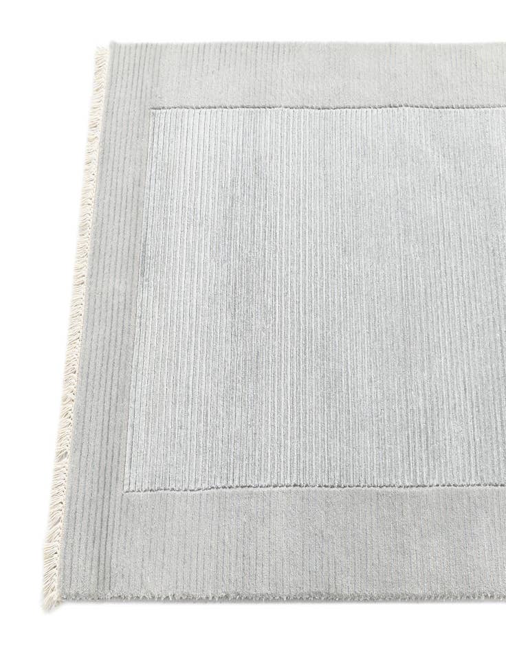 Detail image of  2' 8 x 13' 5 Darya Runner Rug