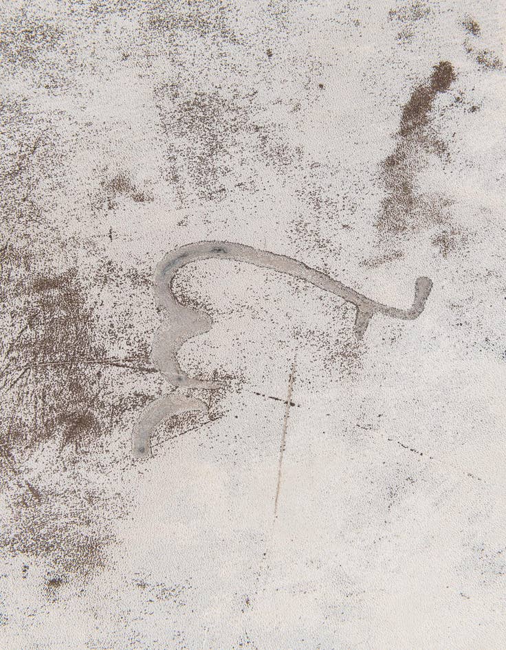 Detail image of  6' 2 x 6' 9 Cowhide Leather Square Rug