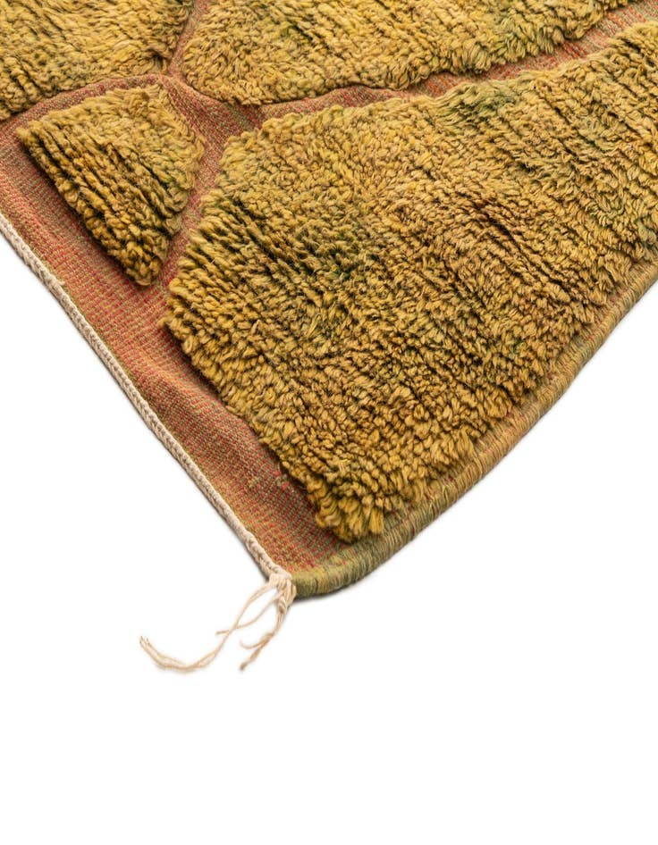 Detail image of  10' x 13' 11 Berber Rug