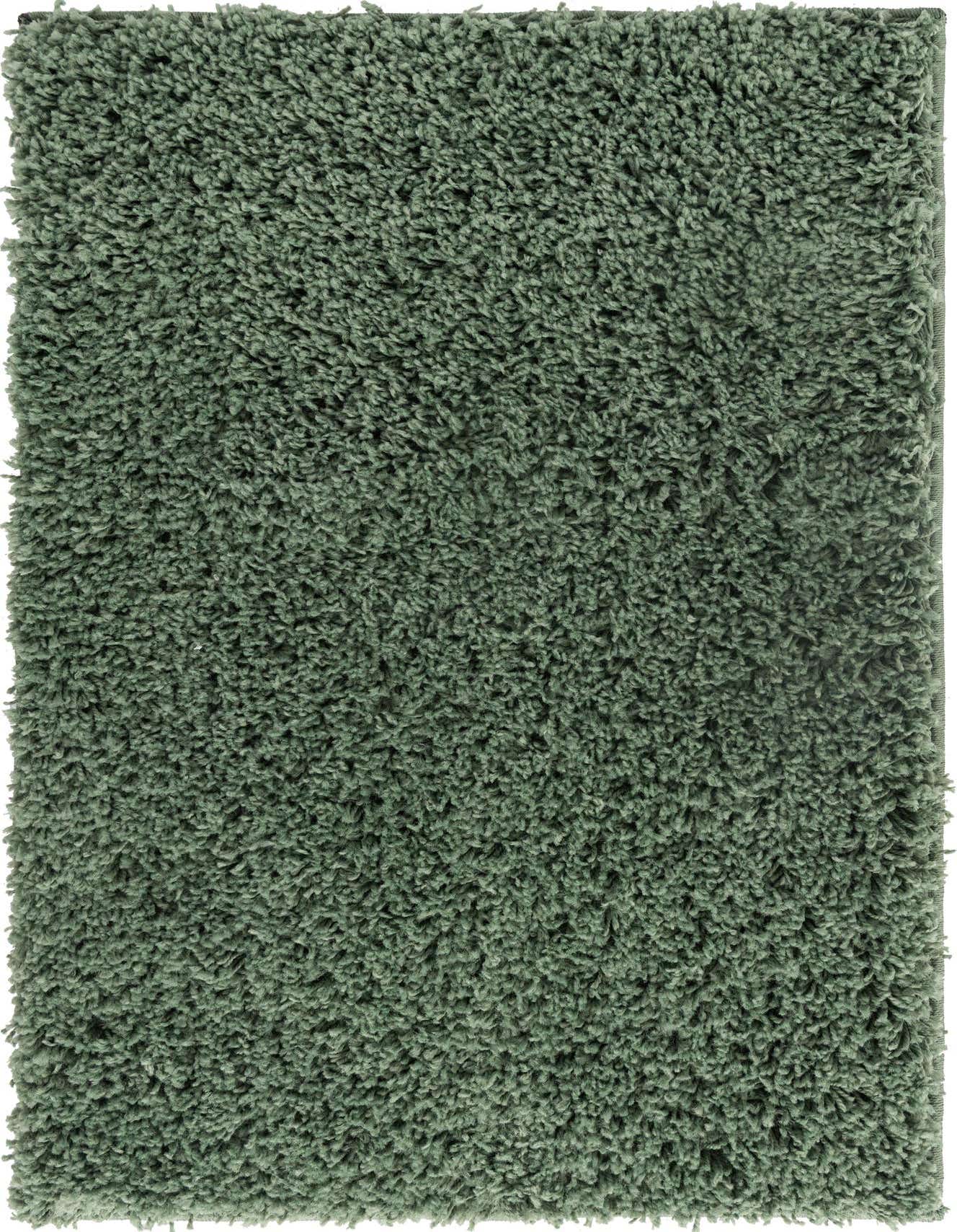 Primary image  2' 2 x 3' Everyday Shag Rug