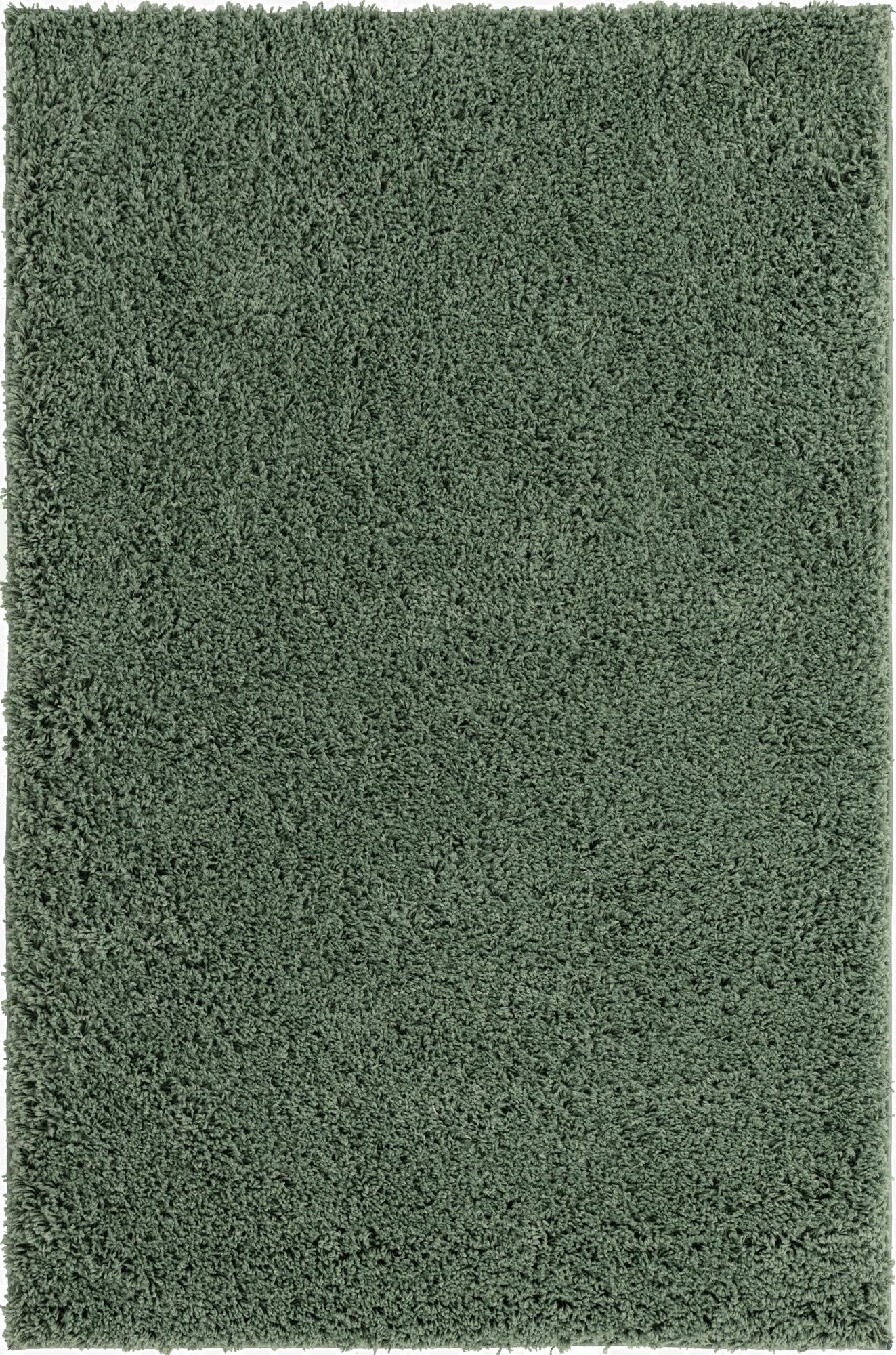  4' x 6' Everyday Shag Rug