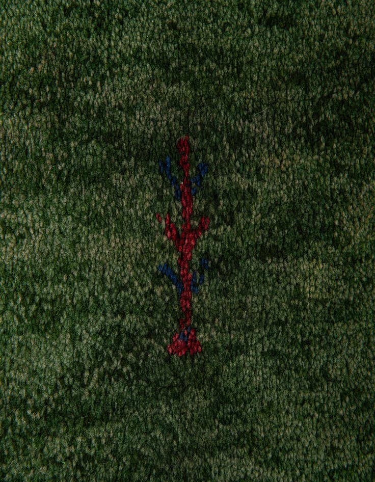 Detail image of  4' x 6'  Hand Knotted Gabbeh Wool Rug