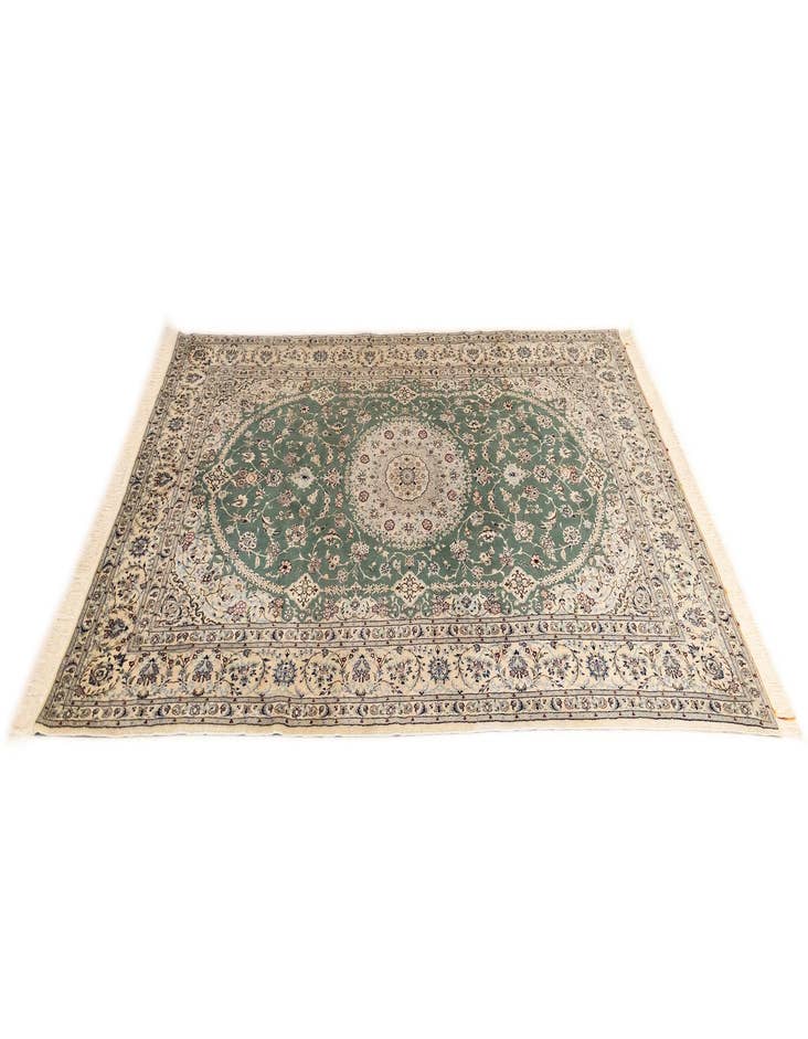 Detail image of  6' 8 x 10' 2 Nain Rug