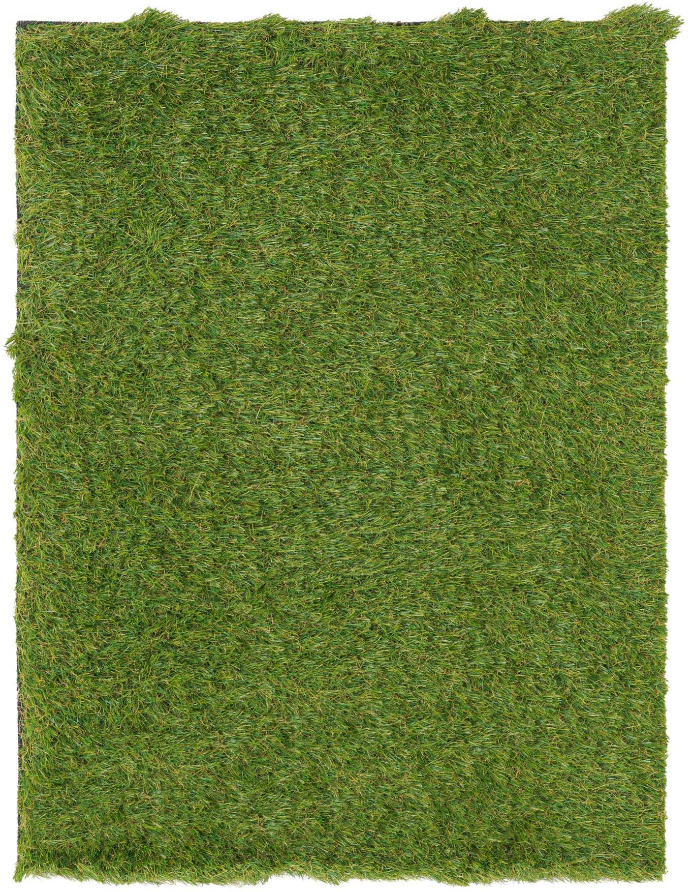 A 2x3 rectangular Rugs.com Outdoor Grass rug in various shades of green, mimicking natural turf.