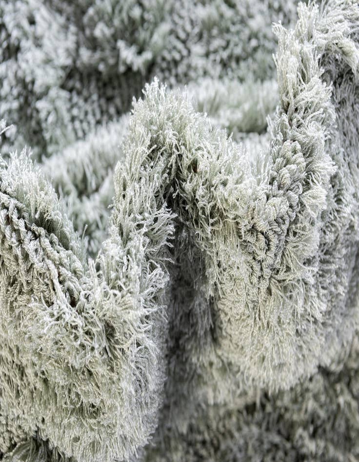 Detail image of  2' 7 x 10' Botanical Shag Runner Rug