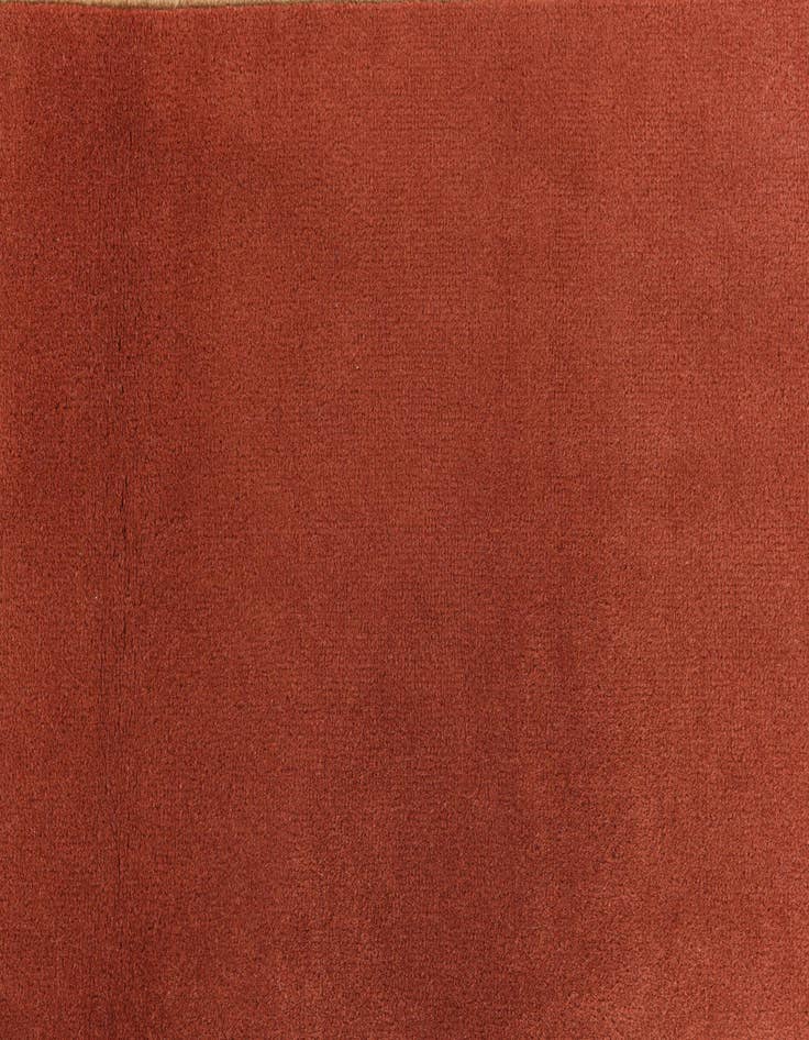 Detail image of  2' 10 x 10' Darya Runner Rug