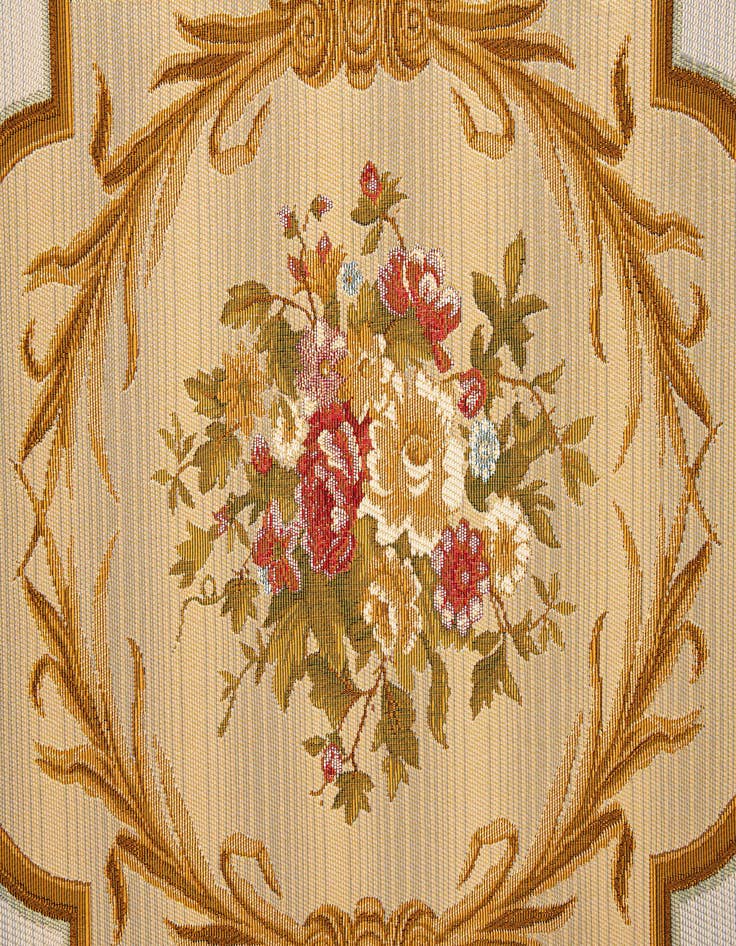 Detail image of  5' 2 x 7' 7  Washable Traditional Indoor / Outdoor Rug