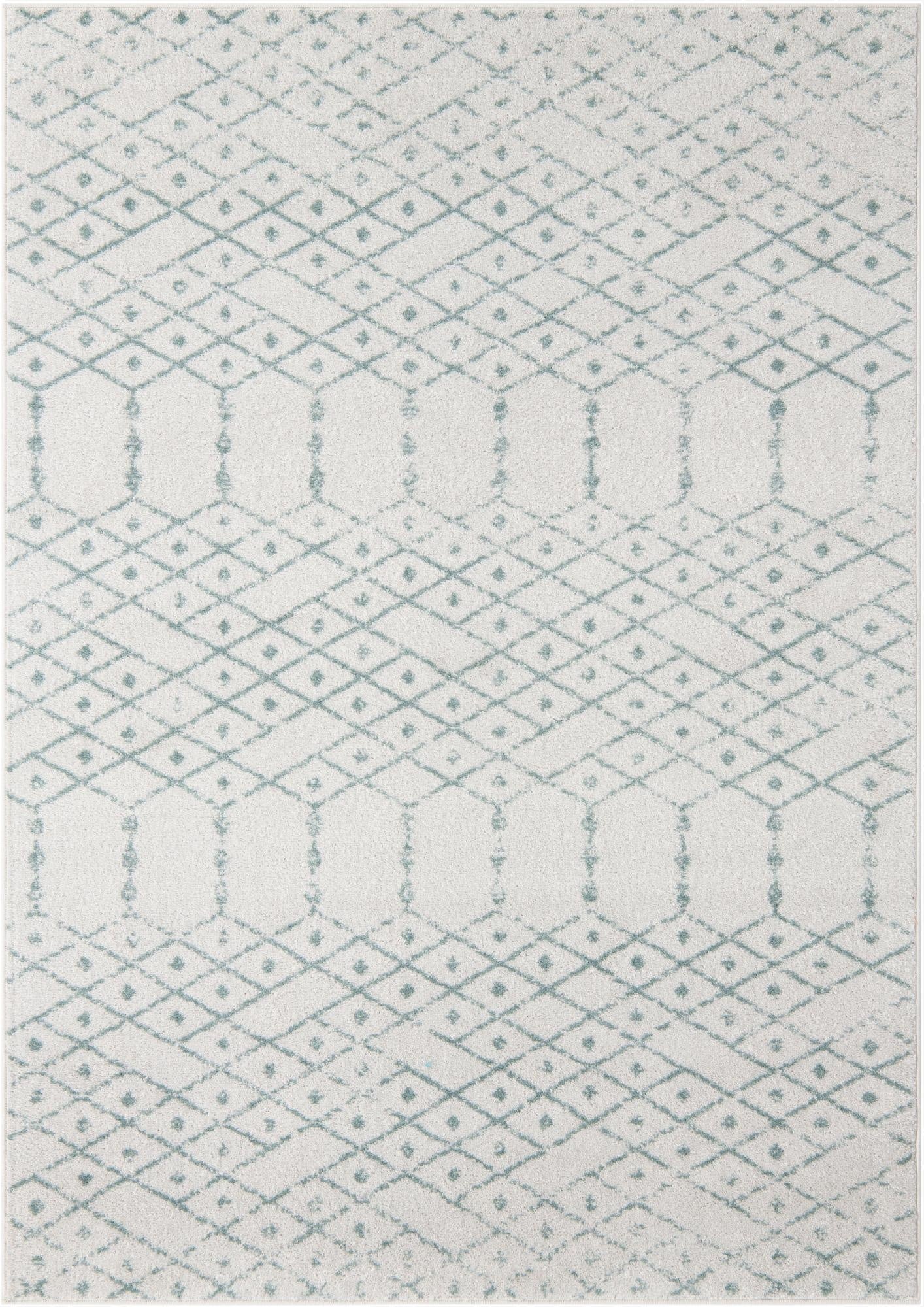  10' x 14' Paxon Trellis Rug