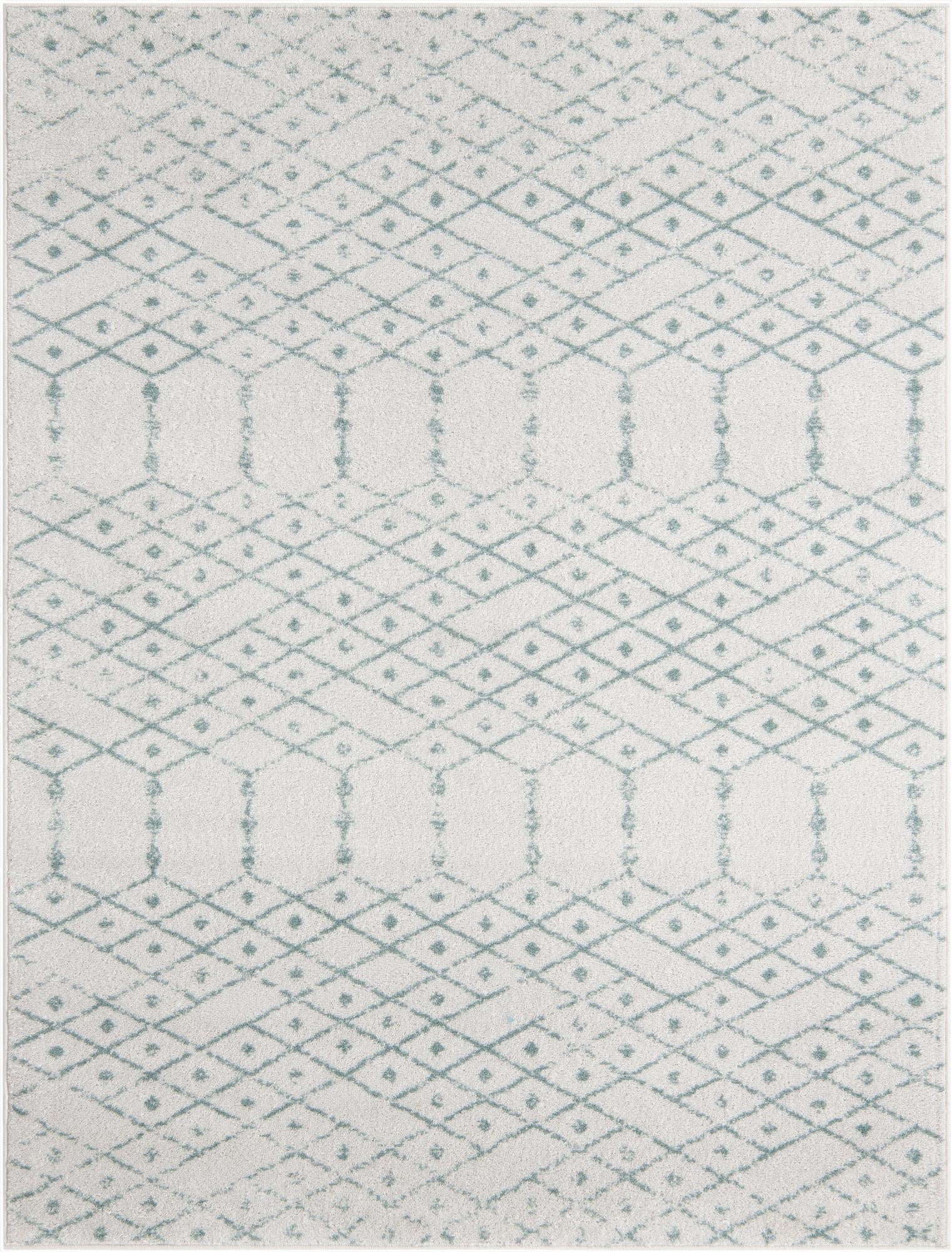  10' x 13' Paxon Trellis Rug