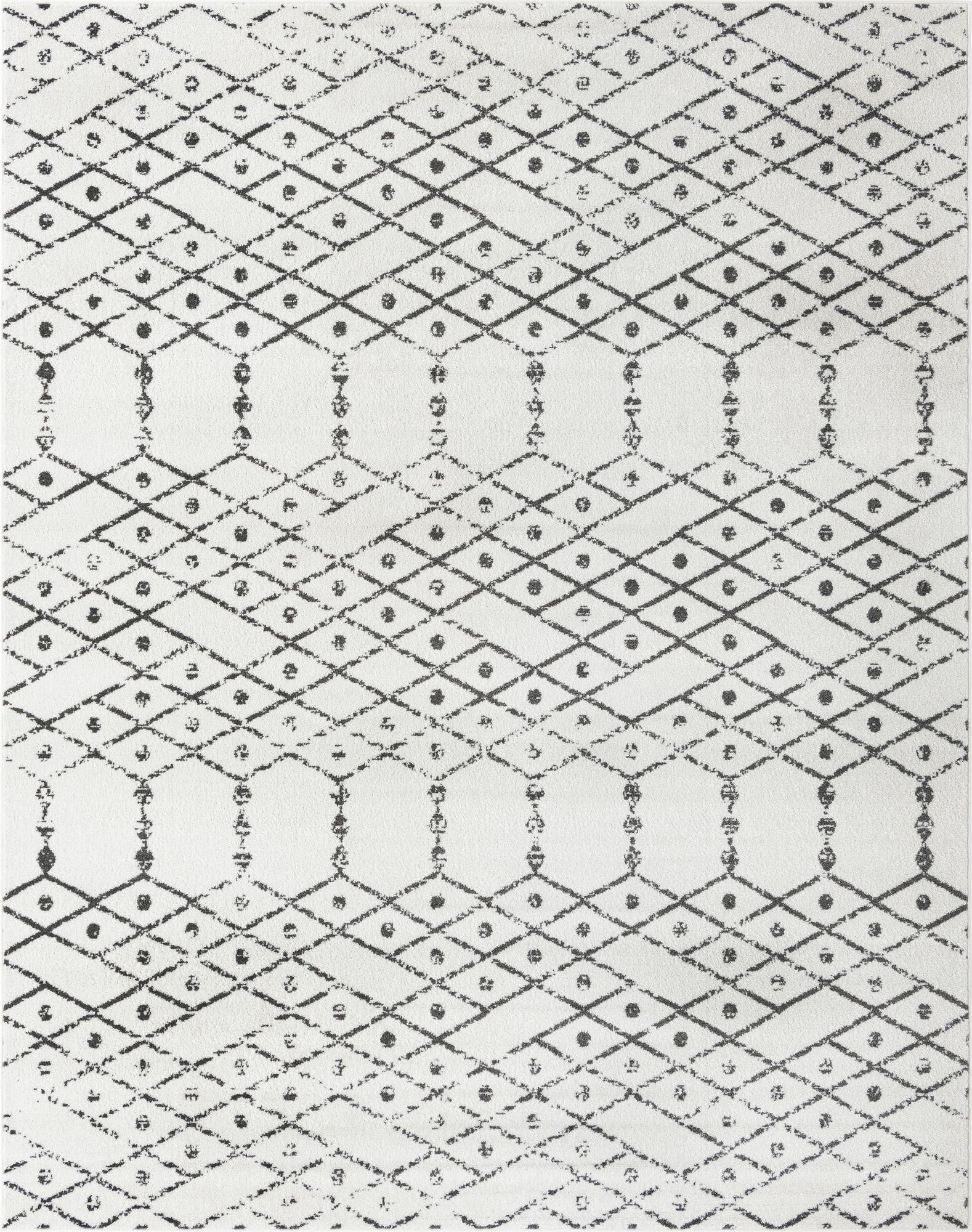  10' x 13' Paxon Trellis Rug