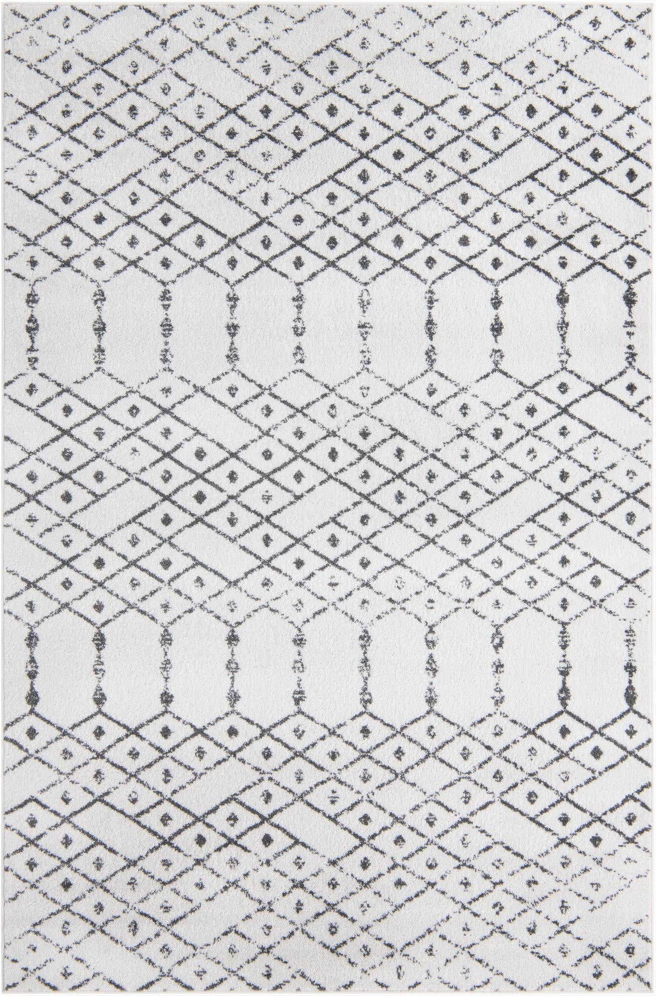  6' x 9' Paxon Trellis Rug