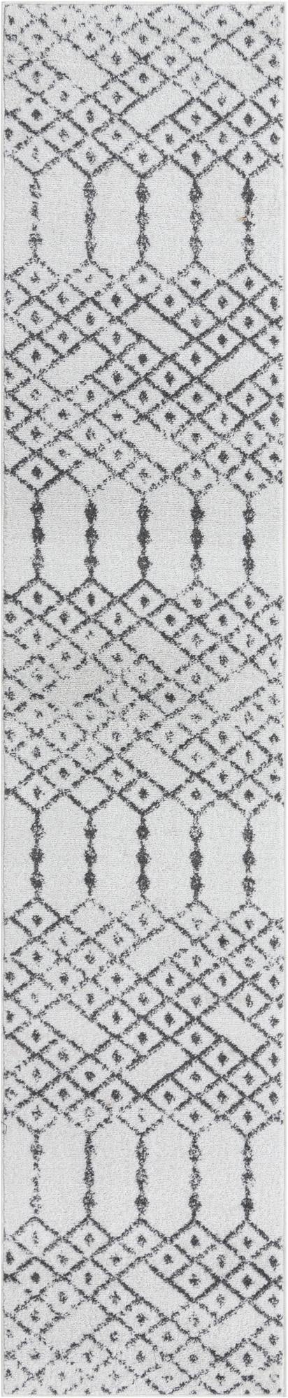  2' x 9' 10 Paxon Trellis Runner Rug