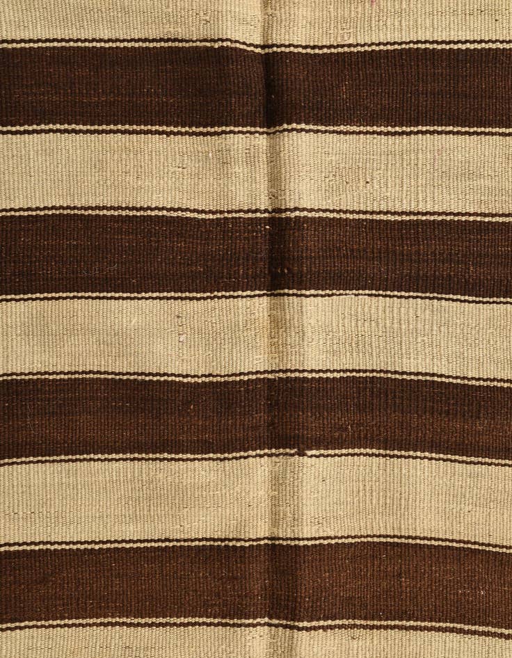 Detail image of  4' 9 x 9' 5  Hand Woven Kilim Fars Wool Rug