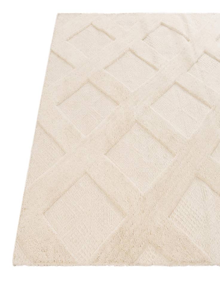 Detail image of  5' 2 x 8'  Hand Woven  Rug