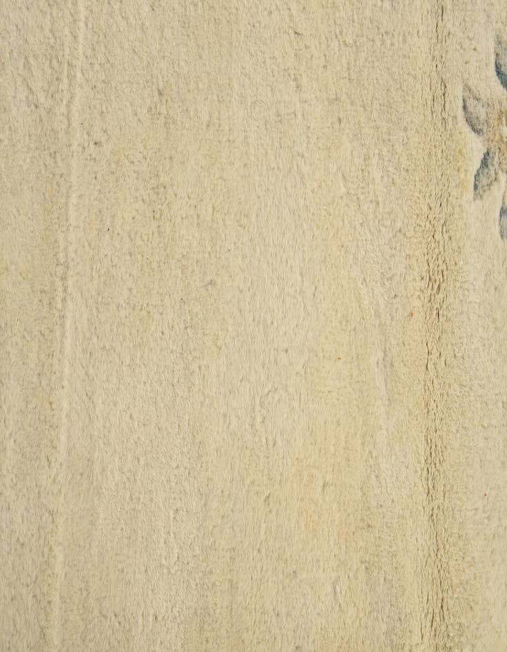 Detail image of 5' 7 x 7' 9 Hand Knotted Carved Pekin Wool Rug