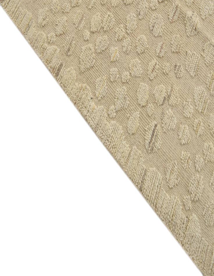 Detail image of  8' 11 x 12' 6  Hand Knotted Darya Wool Rug