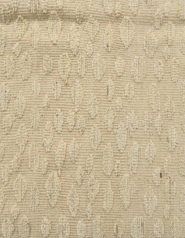 Detail image of  8' 11 x 12' 6  Hand Knotted Darya Wool Rug