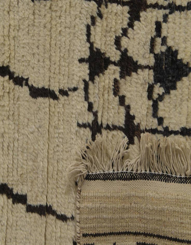 Detail image of  9' 10 x 14' 3  Hand Knotted Darya Wool Rug