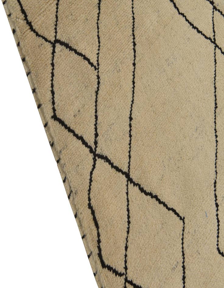 Detail image of  6' x 8'  Hand Knotted Darya Wool Rug