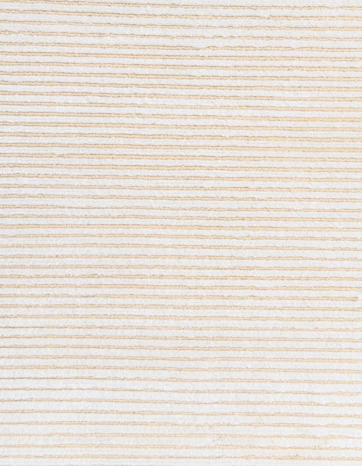 Detail image of  2' 11 x 4' 9  Hand Knotted Darya Wool Rug