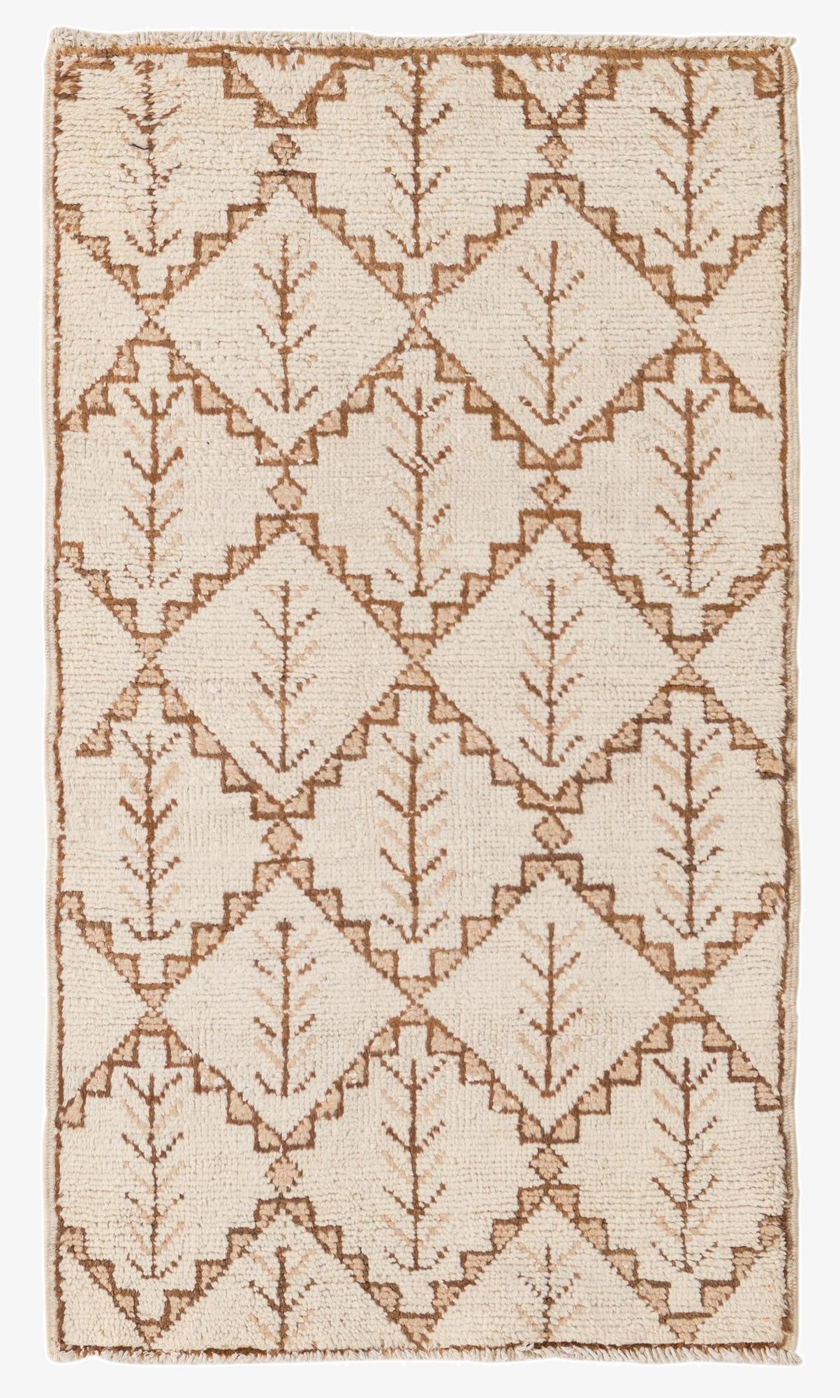  2' 7 x 4' 5  Hand Knotted Darya Wool Rug