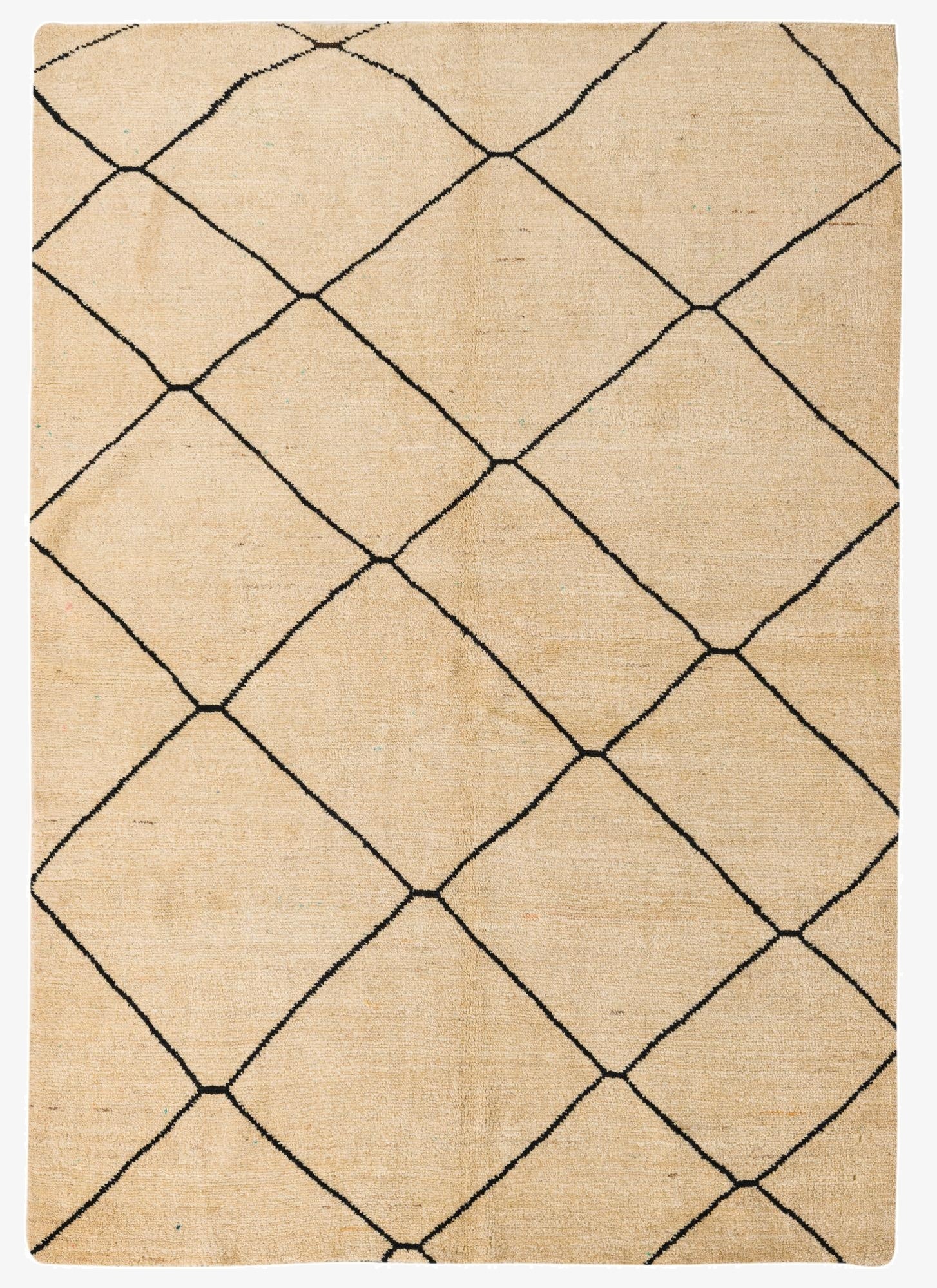  5' 6 x 8'  Hand Knotted Darya Wool Rug