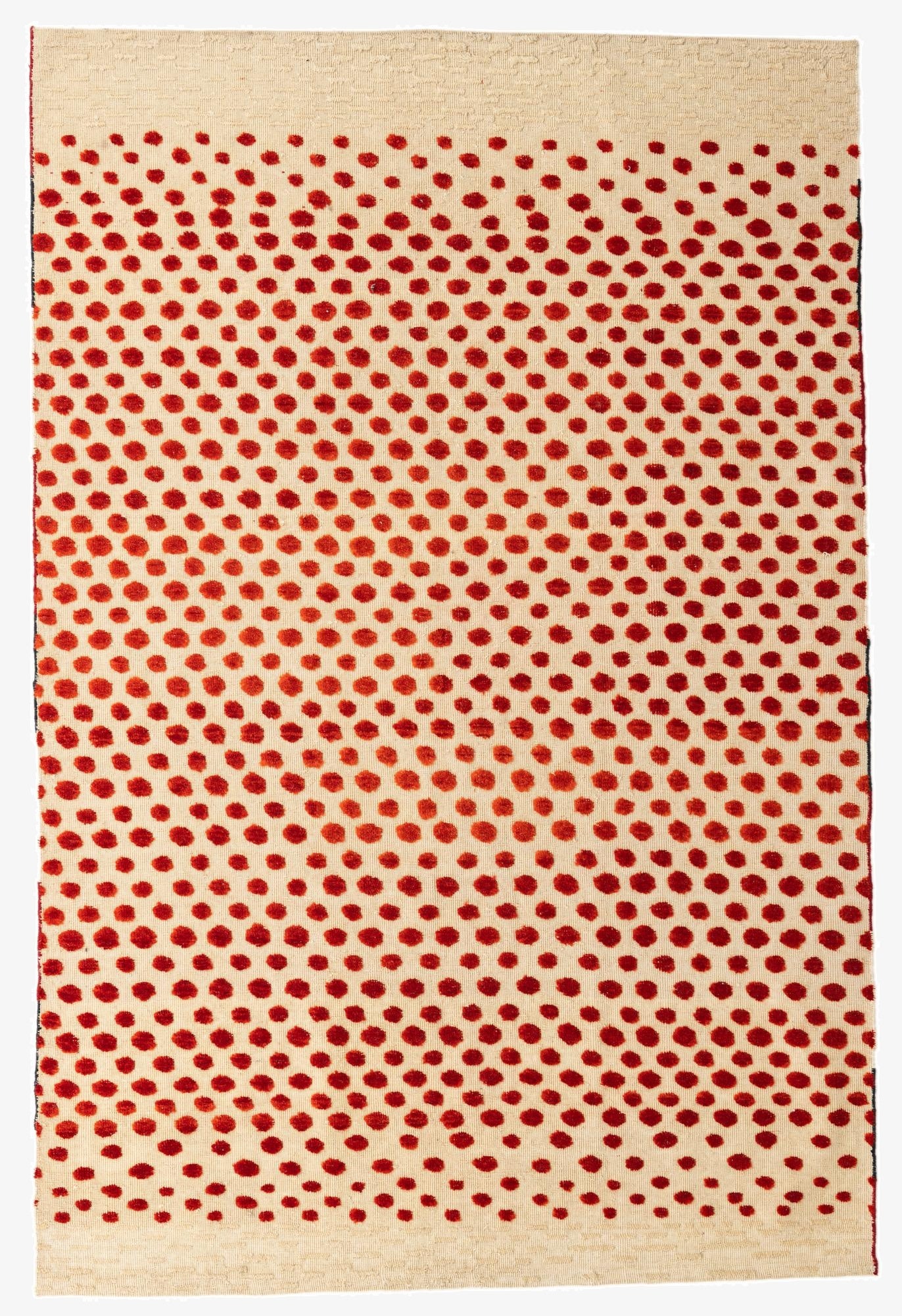  6' 6 x 9' 9  Hand Knotted Darya Wool Rug