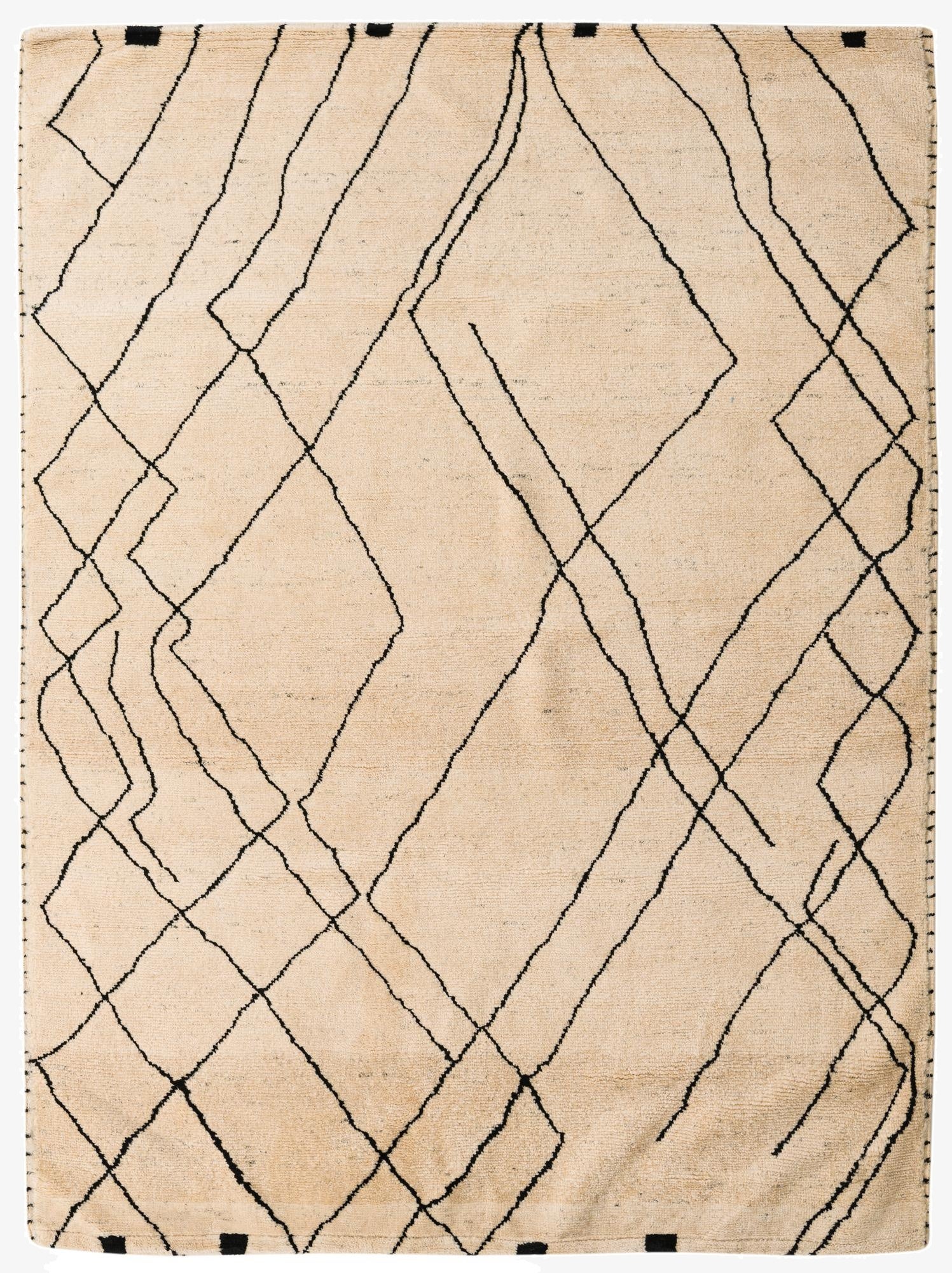  6' x 8'  Hand Knotted Darya Wool Rug