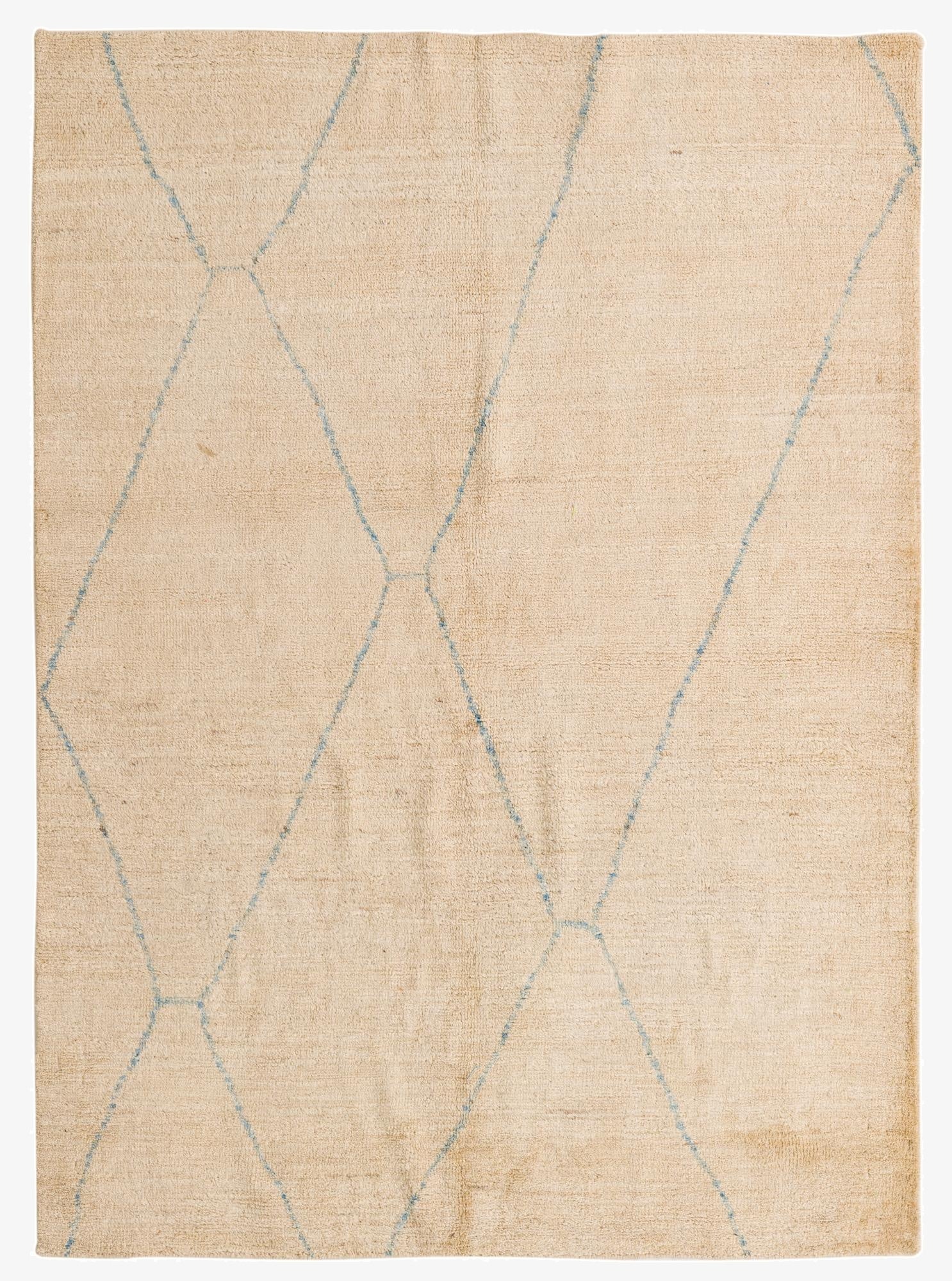  5' 2 x 7' 2  Hand Knotted Darya Wool Rug