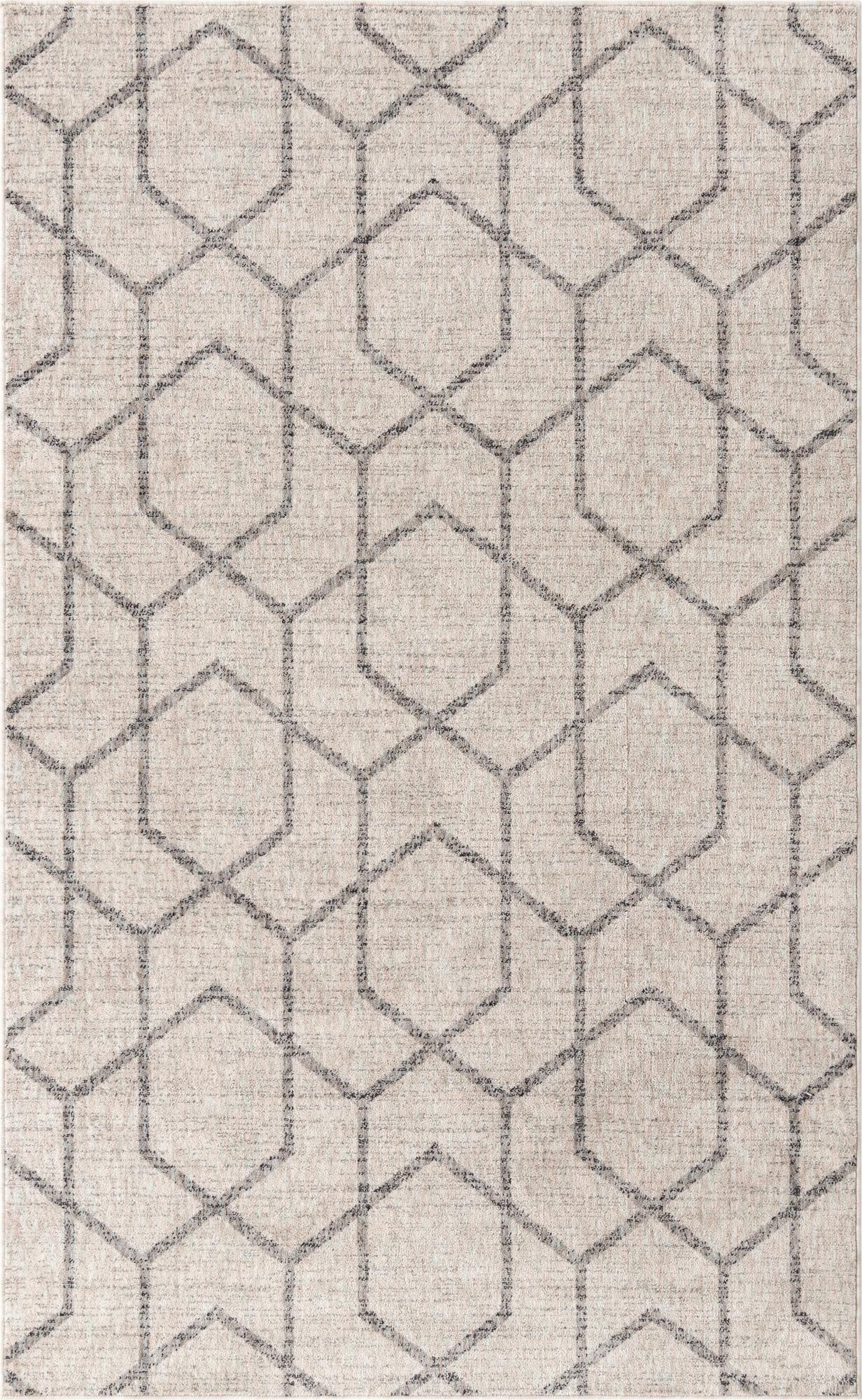  5' 3 x 8' Eco Trellis Rug