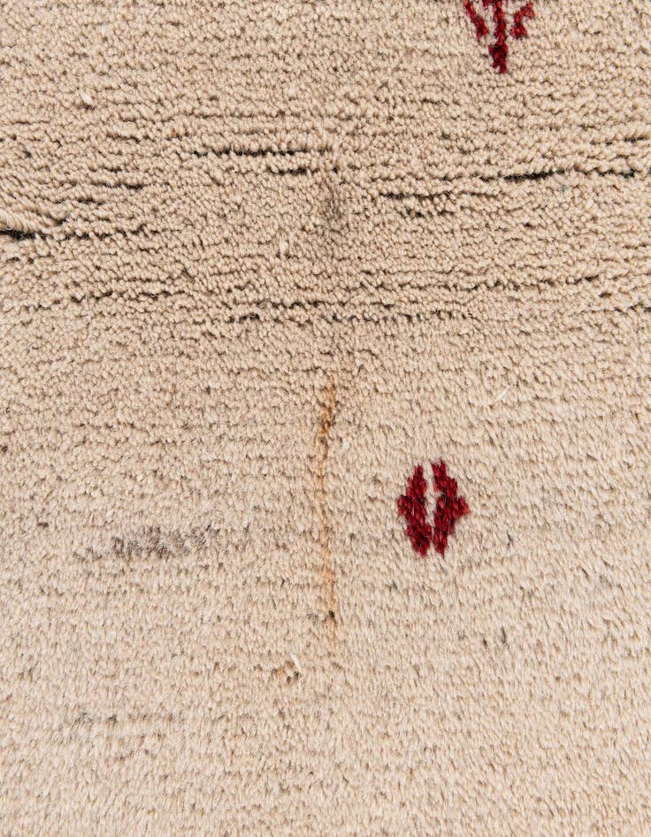 Detail image of  4' x 6' 1  Hand Knotted Gabbeh Wool Rug