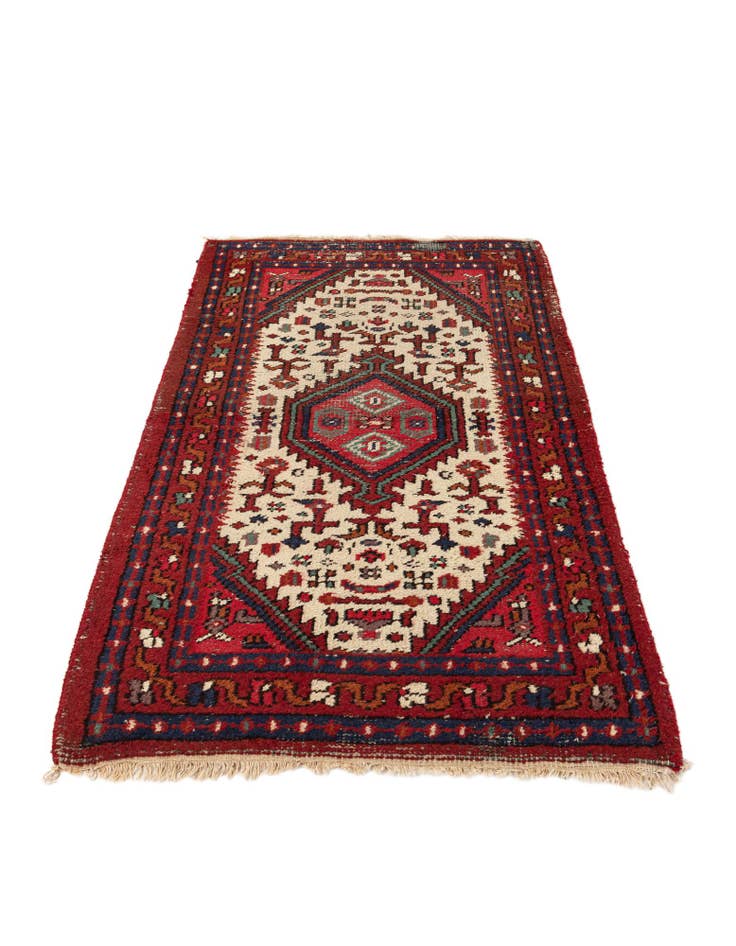 Detail image of  3' 1 x 5' 5  Hand Knotted Hamedan Wool Rug