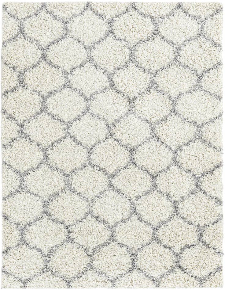 Detail image of  4' x 6' Lattice Shag Rug