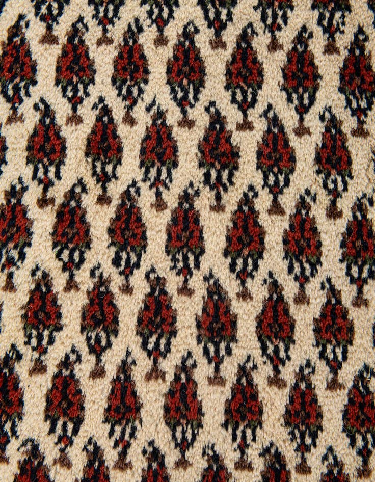 Detail image of  3' 2 x 5' 2  Hand Knotted Mir Wool Rug