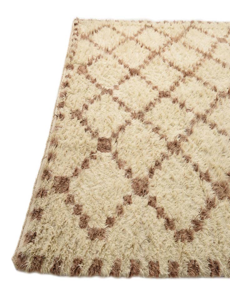 Detail image of  9' 10 x 13' 8  Hand Knotted Moroccan Wool Rug