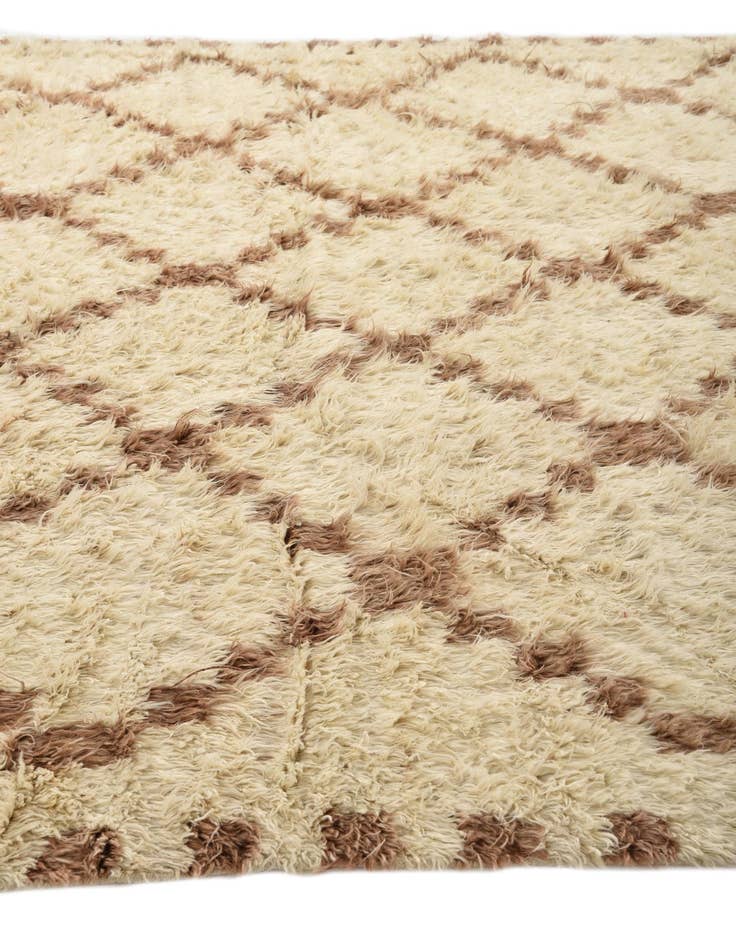 Detail image of  9' 10 x 13' 8  Hand Knotted Moroccan Wool Rug