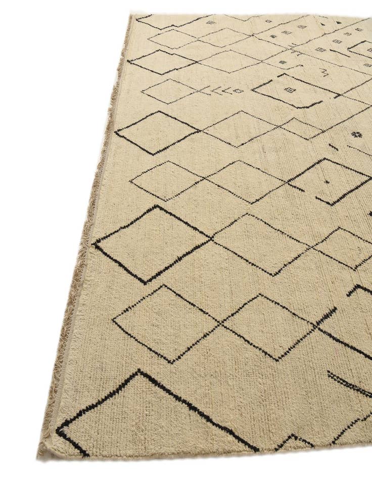 Detail image of  9' 11 x 14' 10  Hand Knotted Moroccan Wool Rug