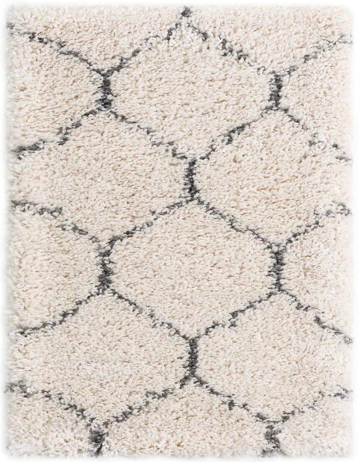 Detail image of  2' 2 x 3' Moroccan Shag Rug