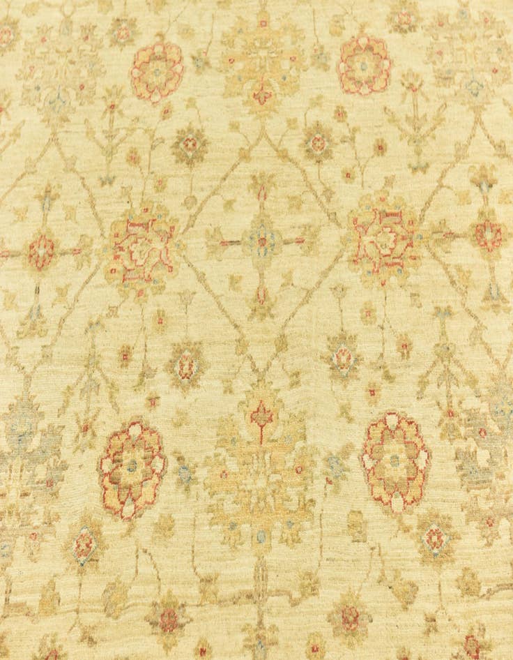 Detail image of  6' 6 x 9' 7  Hand Knotted Peshawar Ziegler Rug