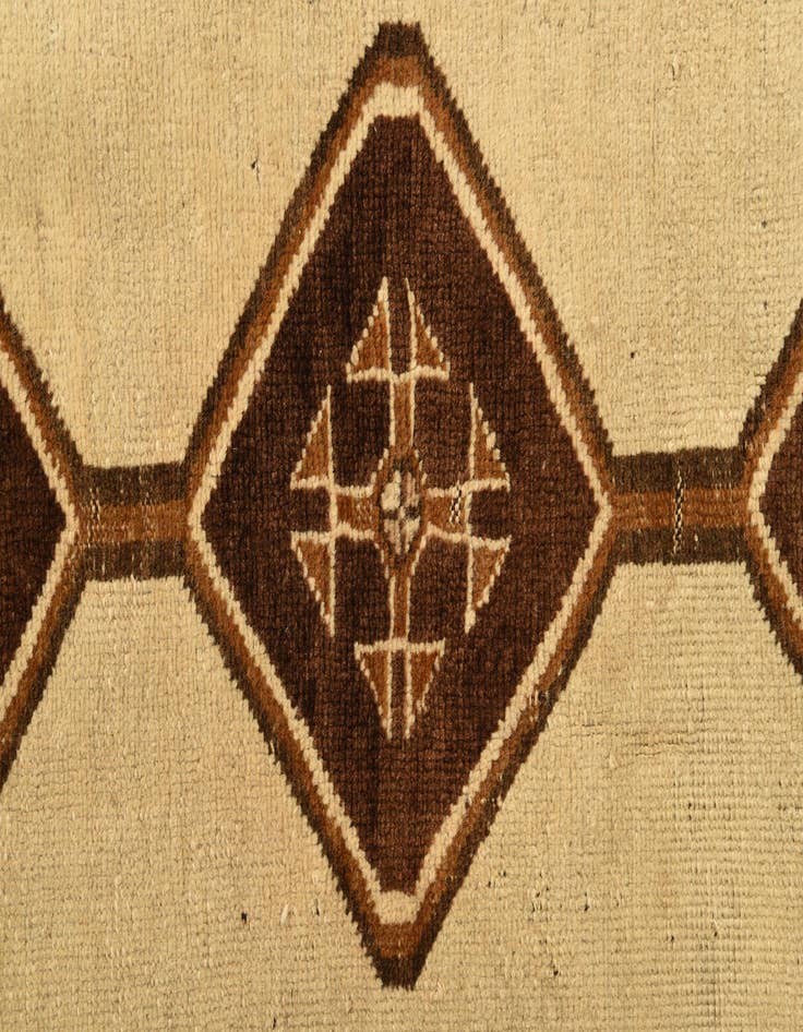 Detail image of 3' 5 x 6' 1 Hand Knotted Shiraz-Gabbeh Persian Wool Rug