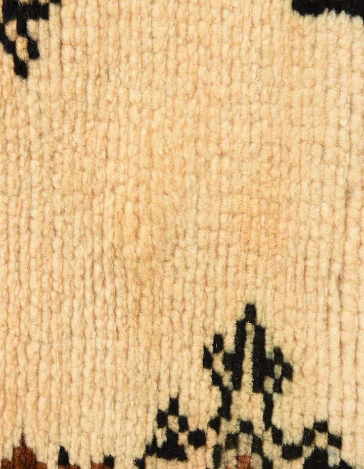 Detail image of  4' 10 x 8'  Hand Knotted Shiraz Persian Wool Rug