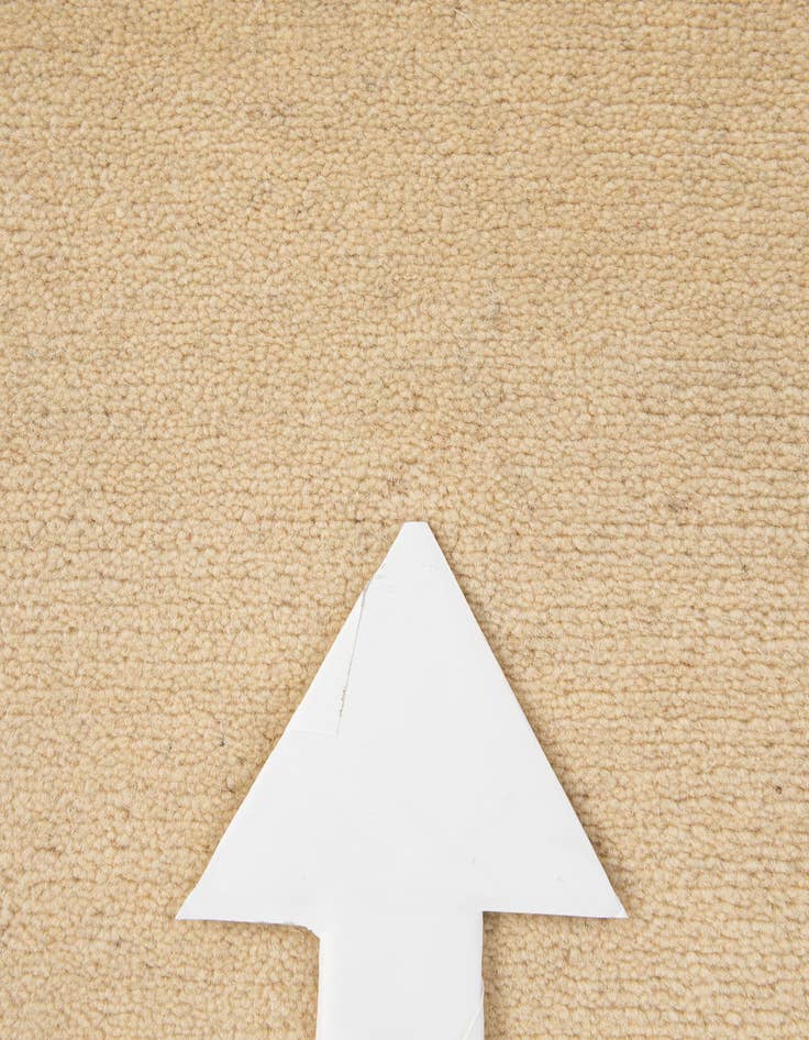 Detail image of  2' 2 x 3' 4  Hand Knotted Tibet Wool Rug