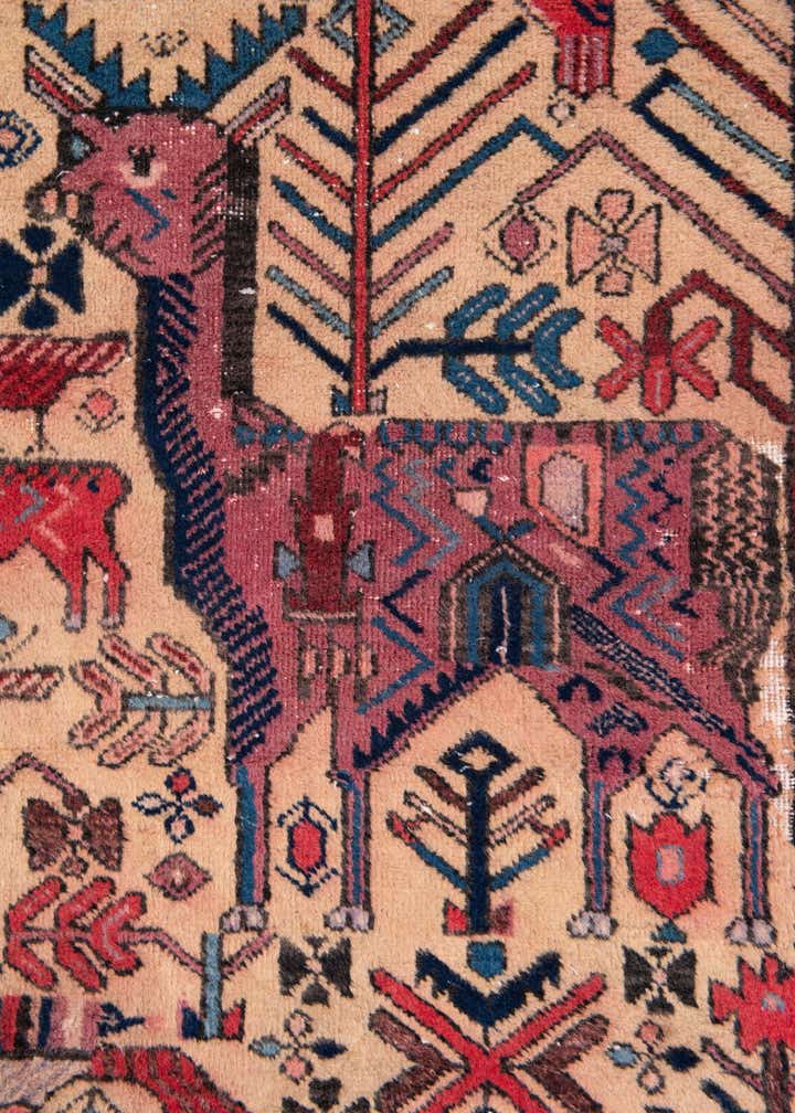 Detail image of rug